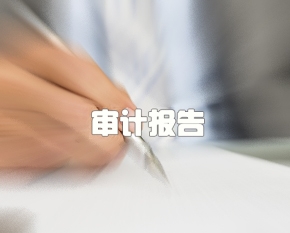 審計(jì)報告